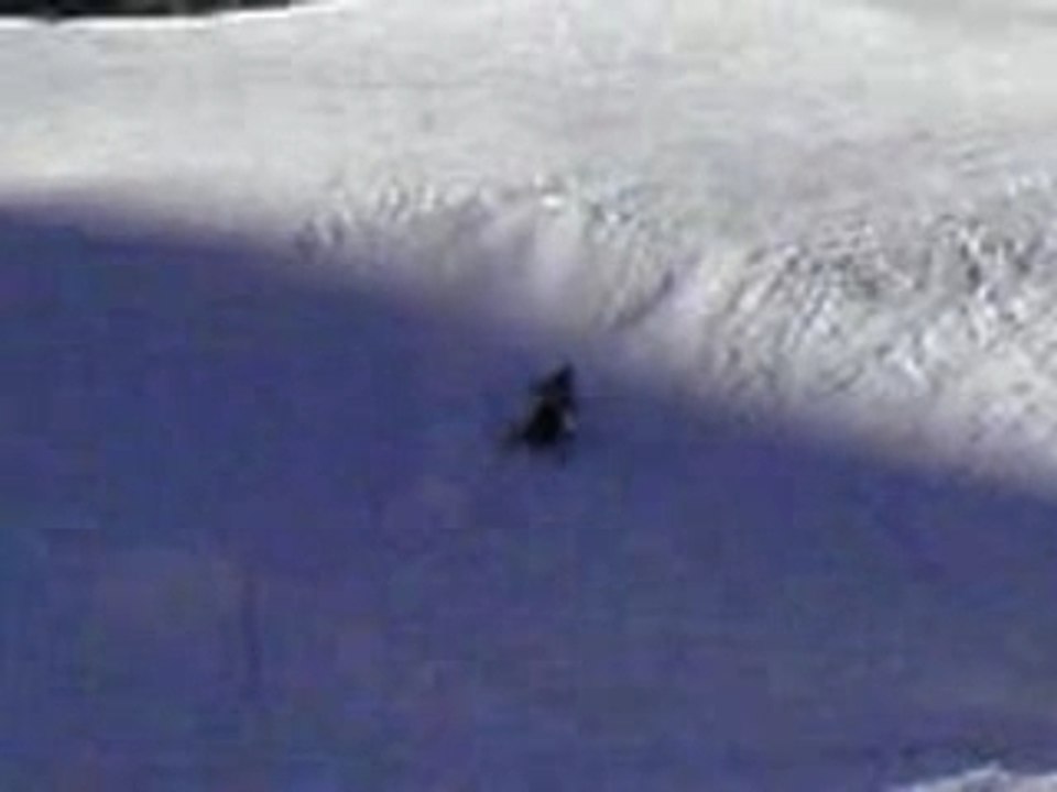 Djudj essai 1 360 ---> boite