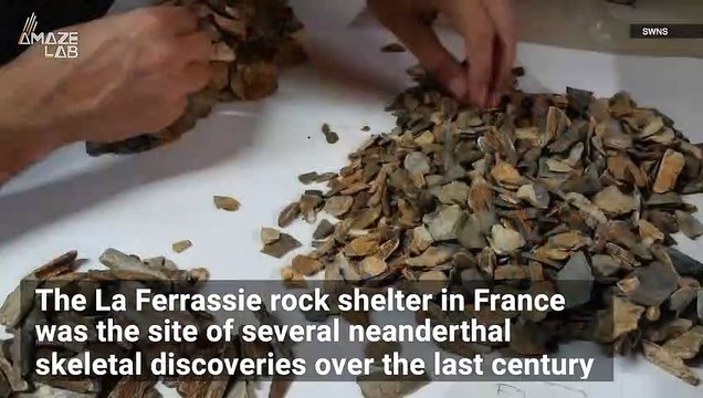 Neanderthals Actually Buried Their Dead, New Archeological Study Finds