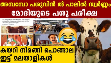 പശുശാസ്ത്ര പരീക്ഷയില്‍ ബീഫ് ഉലര്‍ത്ത് റെസിപ്പി എഴുതിവയ്ക്കുന്ന മല്ലൂസ്