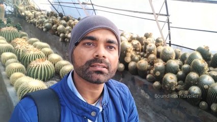 Kalimpong Hill Station and  Delo Park - Wonderful Tourist Destinations