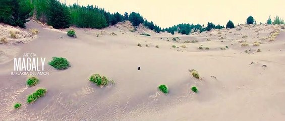 MAGALY TU FLAKITA NO LLORES CORAZON PRIMICIA 2021 Solar Discos VIDEO OFICIAL