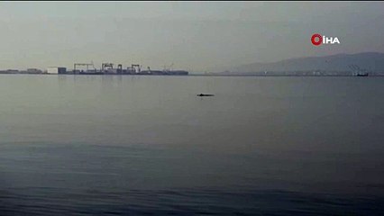 Ocak ayında denizin keyfini çıkardı