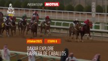 #DAKAR2021 - Etapa 6 - Carrera de caballos en Arabia Saudita