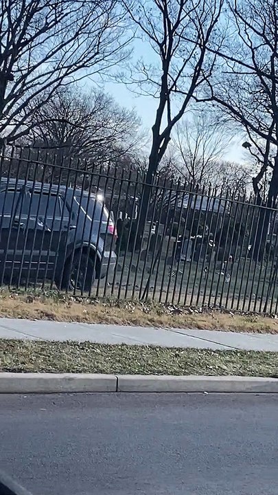 Suspect Tries to Take Cop Car