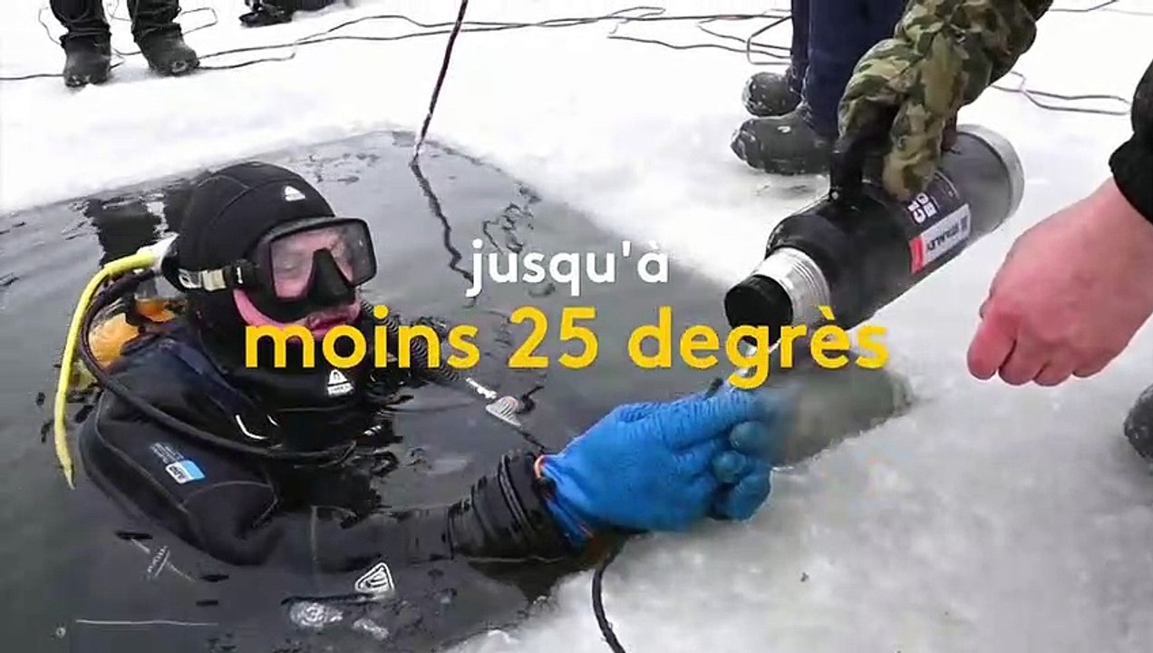 Paléontologie : les trésors cachés de la rivière Tobol en Russie