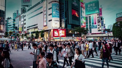 MIRAI. Chcesz rozwijać swój biznes na japońskim rynku? To musisz wiedzieć