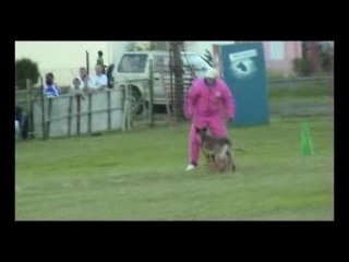 Championnat Gwada ring 2007