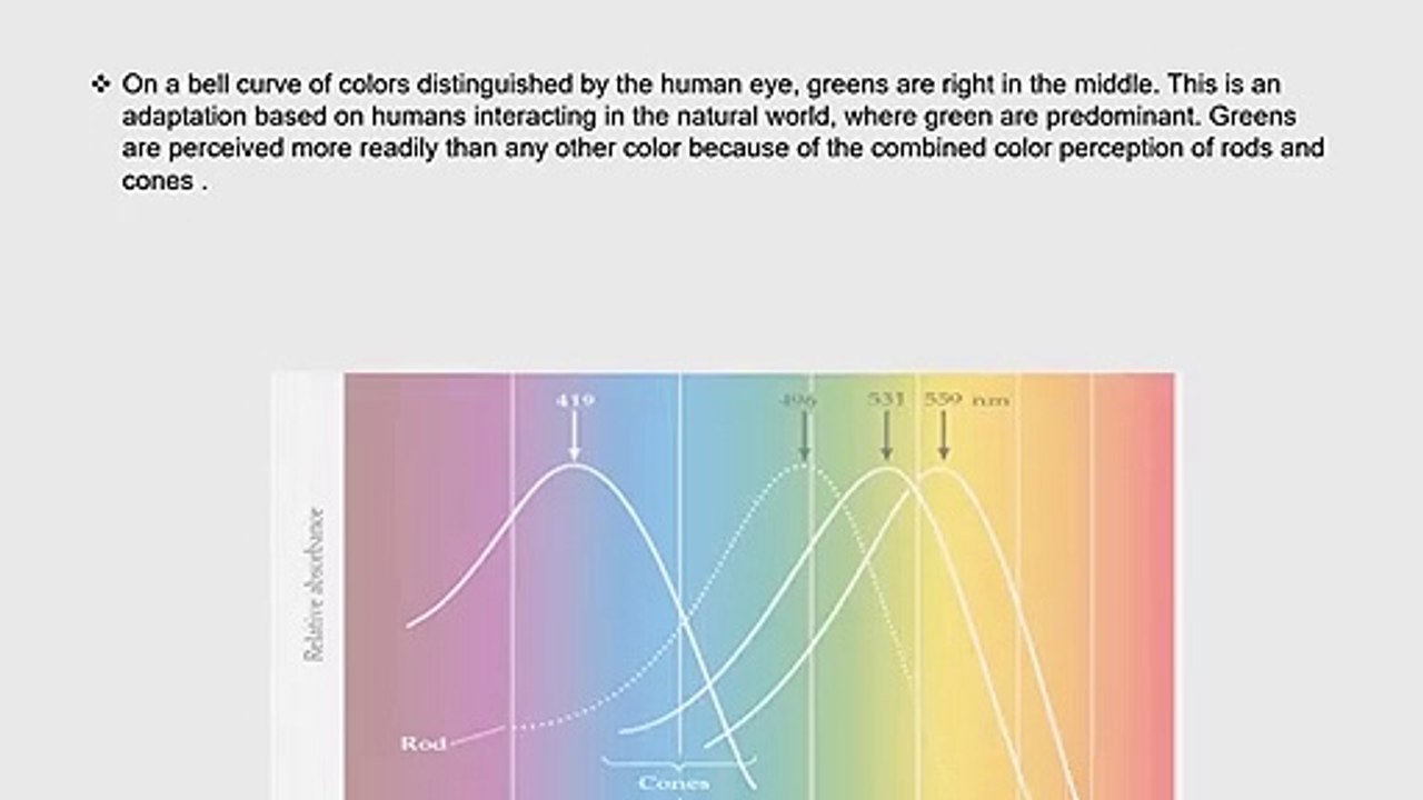 Human Can See More Shades Of Green Than Any Other Colors.