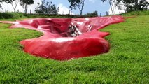 Escultura de vulva gigante impulsa debate sobre género en Brasil