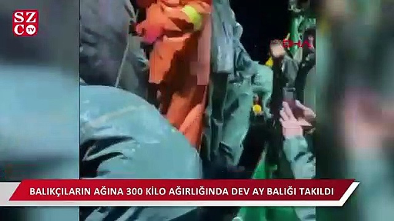 Balıkçıların ağına dev 'ay balığı' takıldı