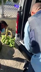Autoridades decomisan 56 libras de marihuana en el cruce de Ocoa