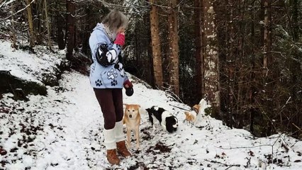 Retour du torrent le soir