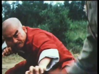 Wu Tang Collection - Snake Fist of a Buddhist Dragon part 1/2