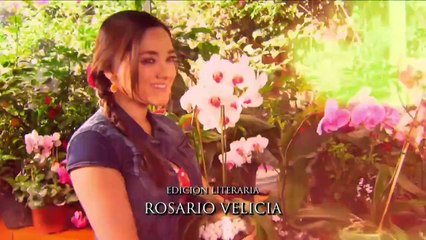 Amores Verdaderos 182