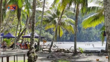 Vecinos de Ojochal crearon sus propias fuentes de trabajo