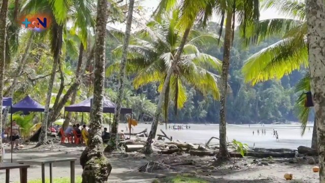 Vecinos de Ojochal crearon sus propias fuentes de trabajo