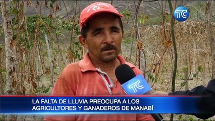 Falta de lluvia preocupa a los agricultores en Manabí