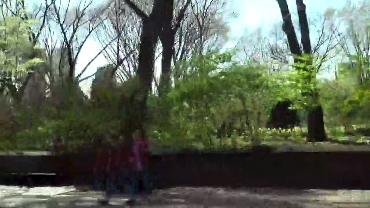 Taxifahrt in Manhattan in New York City