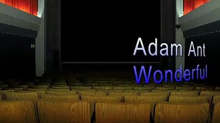 Adan Ant Wonderful 1995
