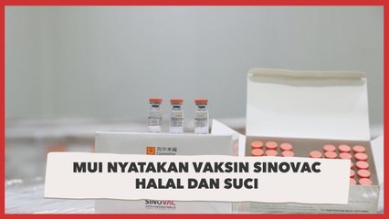 MUI: Vaksin Covid-19 Sinovac dari China Halal