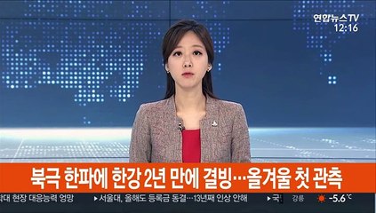 북극 한파에 한강 2년 만에 결빙…올겨울 첫 관측