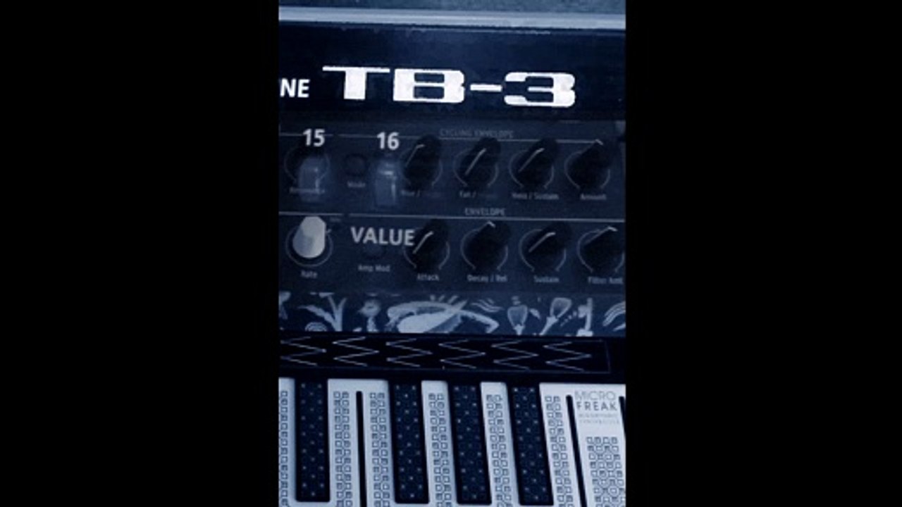 Jamurary Microfreak Organ & Roland TB 3 Bass