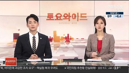 황하나 '절도 혐의'도 수사…마약 사건과 병합