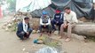 बर्ड फ्लू की दस्तक के बीच वजीरपुर में मृत मिले मोर