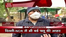 Bird Flu: दिल्ली में 100 से ज्यादा कौवों की मौत, देखें रिपोर्ट