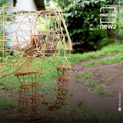 ‘Lantana’ Elephants Find A Home At A Country House Of British Royal Family