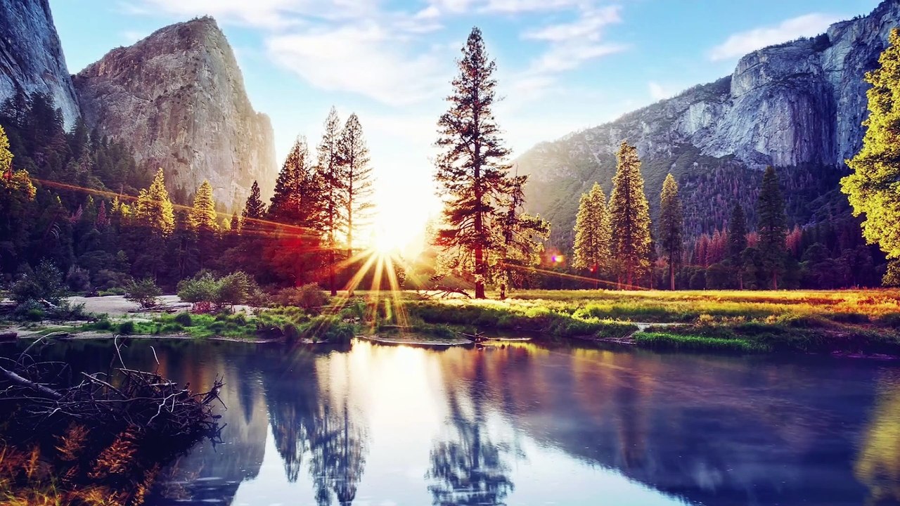 4k FOREST Relaxation |Meditation Music, Study, Stress Relief Music, Sleep Music, Zen, Meditation