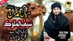 New Supper Hit Kalam Mian Muhammad Baksh , Saif ul Malook by Sultan Ateeq Rehman HD Video