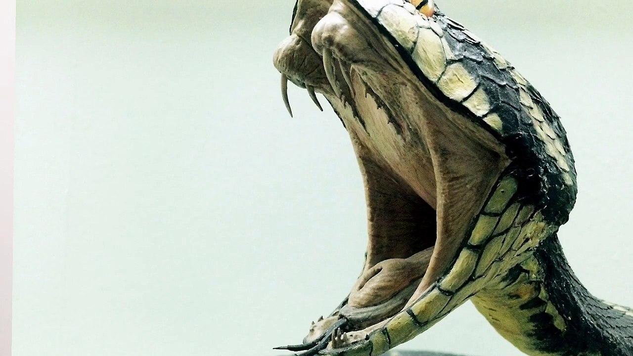Will Snake Die If You Cut Half?