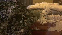 La tormenta de nieve colapsa las calles del centro de Madrid