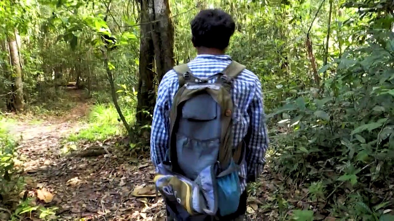 Ein Zuhause für die Affenwaisen des Amazonas