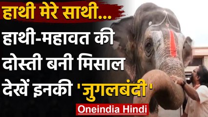 Viral Video: हाथी और महावत की दोस्ती बनी मिसाल, Video में देखें दोनों की जुगलबंदी । वनइंडिया हिंदी