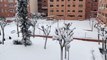 Fuertes nevadas en Alcalá de Henares por la borrasca 'Filomena'