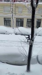 Esquiadores en la calle Doce de Octubre de Madrid