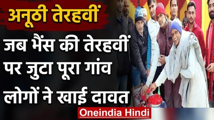 Meerut: किसान ने आयोजित की भैंस की तेरहवीं, पूरे गांव को खिलाया खाना | वनइंडिया हिंदी