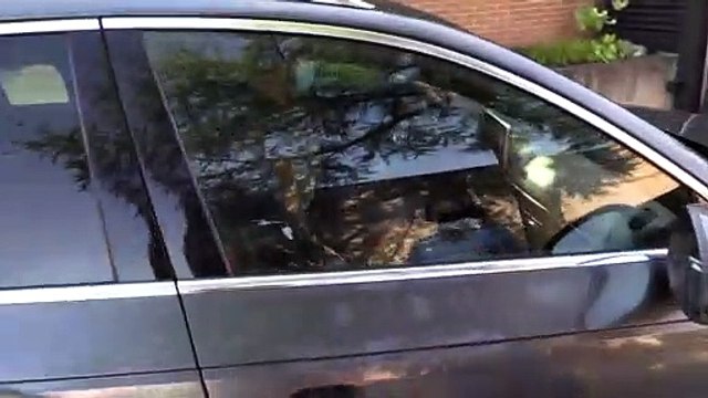 Primeras palabras de María Teresa Campos tras su tensa entrevista con Isabel Gemio