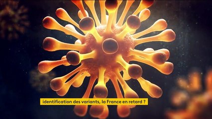 Coronavirus : la France en retard sur l’identification des variants