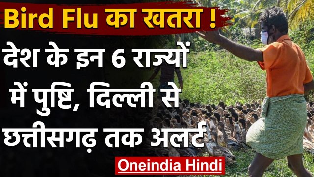 Bird Flu India: इन 6 राज्यों में बर्ड फ्लू की पुष्टि, दिल्ली-छत्तीसगढ़ में अलर्ट | वनइडिया हिंदी