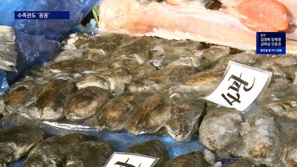 한파에 수족관도 ‘꽁꽁’…공항은 항공기 운항 재개