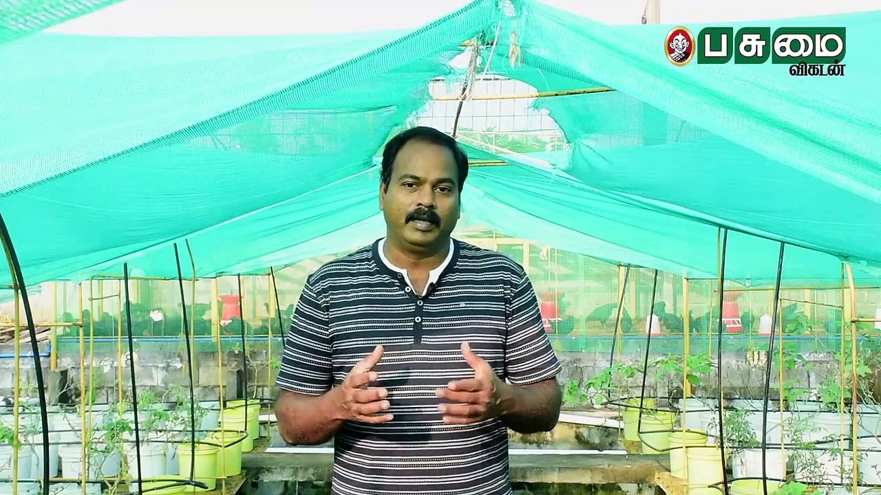 லட்சங்களில் லாபம் தரும் அக்வாபோனிக்ஸ் தொழில்நுட்பம்! Aquaponics