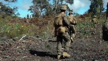 U.S. Marines • Live-Fire and Maneuver Training • Hawaii
