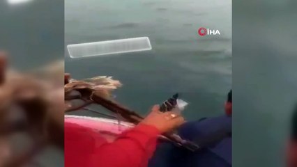 - Endonezya'nın başkenti Jakarta'dan havalandıktan sonra radardan kaybolan Sriwijaya Havayolları'na ait yolcu uçağının denize düştüğü bildirildi.