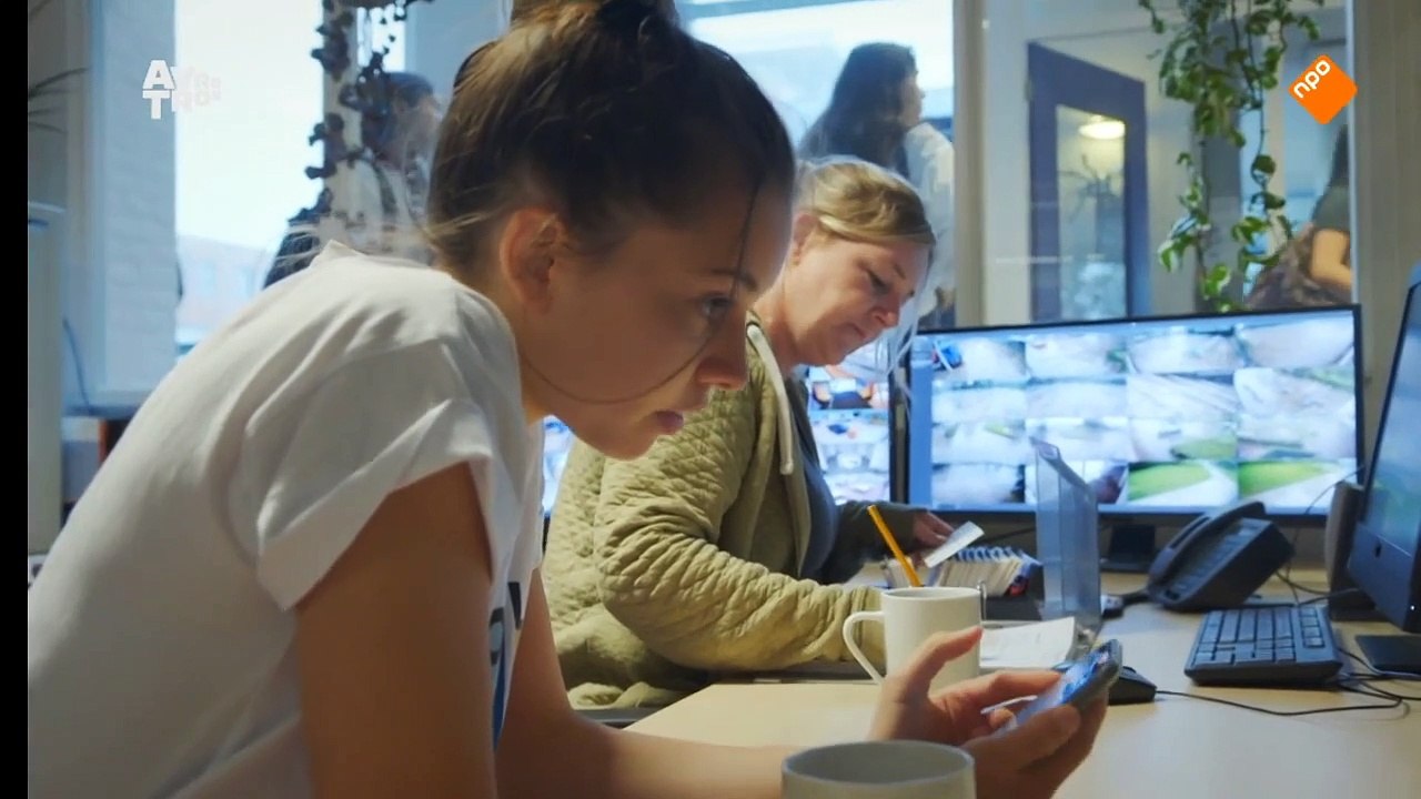 EEN BEETJE VREEMDGAAN