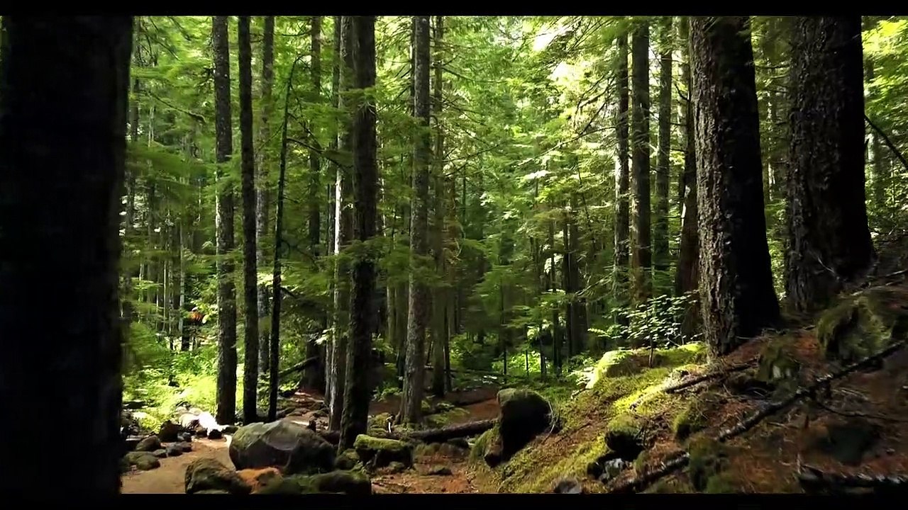 Deeper Delight -session-2-