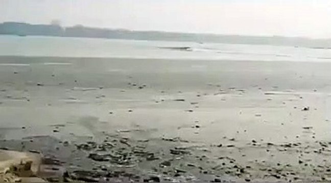 Amazing Water Wave