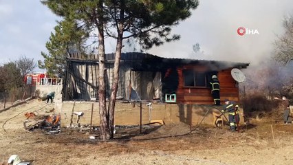 Tek katlı evde çıkan yangında yavru köpekler telef oldu